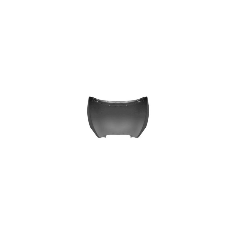Achetez CAPOT SEAT SEAT ALTEA 04-/TOLEDO 05- au meilleur prix sur todocarrocería.com